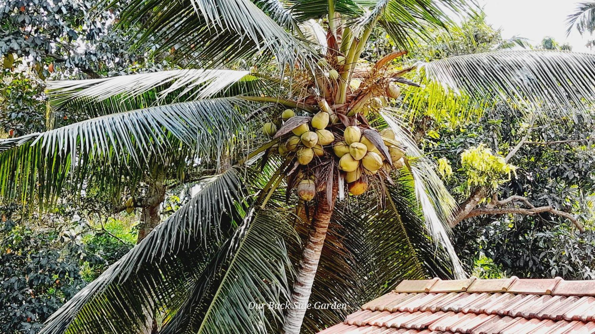 Le Meridien Bnb For Foreign Travelers Negombo Esterno foto
