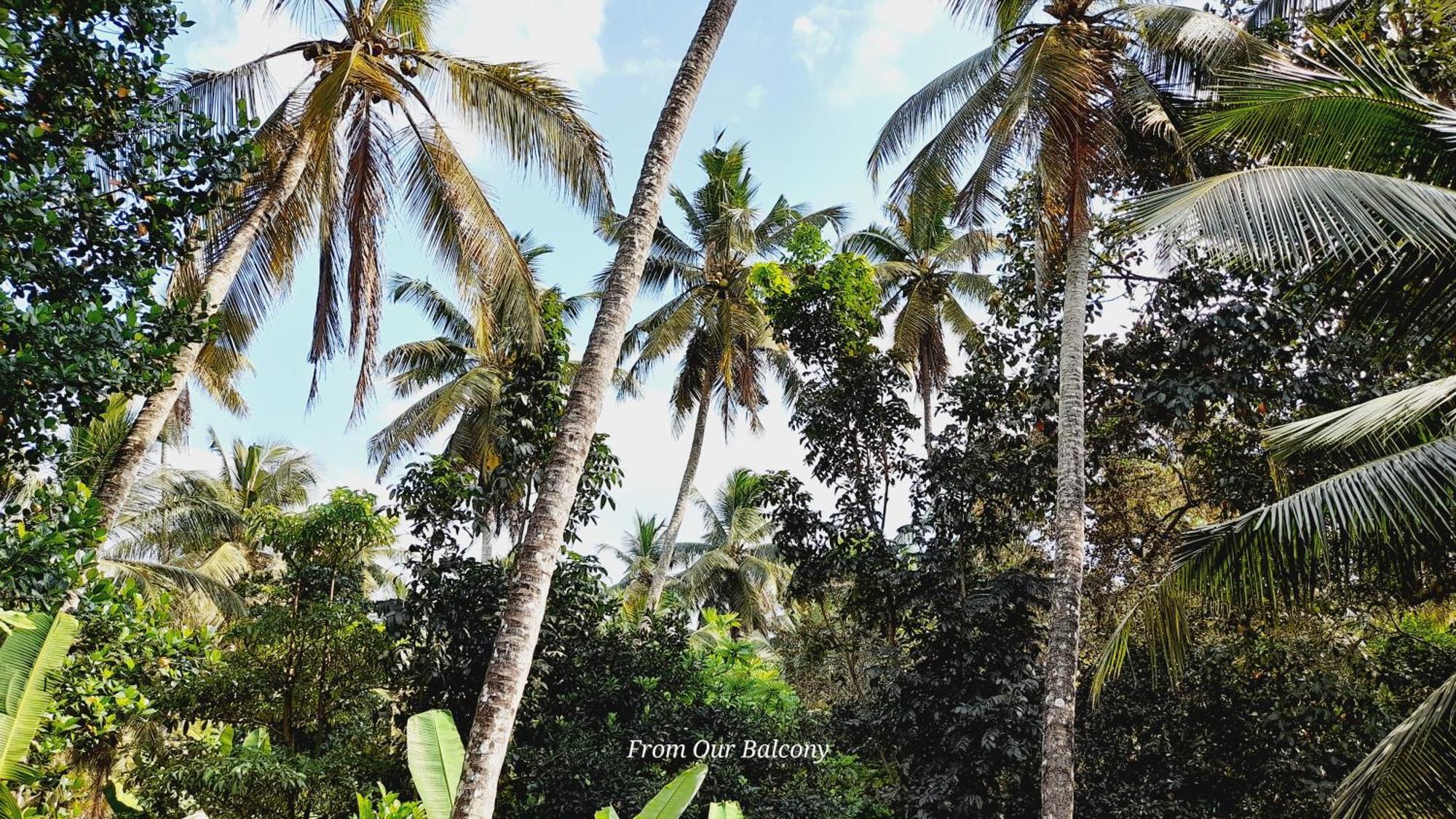 Le Meridien Bnb For Foreign Travelers Negombo Esterno foto