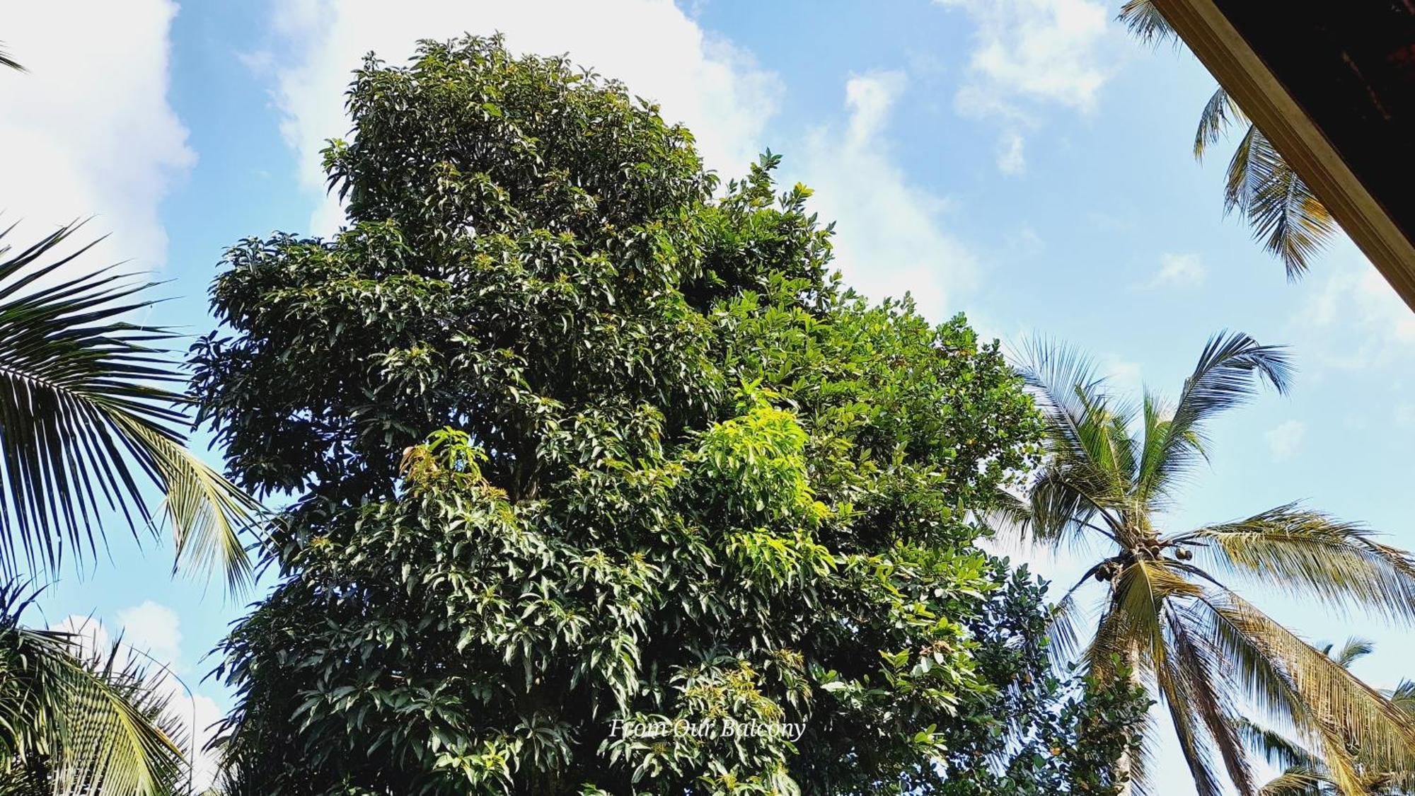 Le Meridien Bnb For Foreign Travelers Negombo Esterno foto