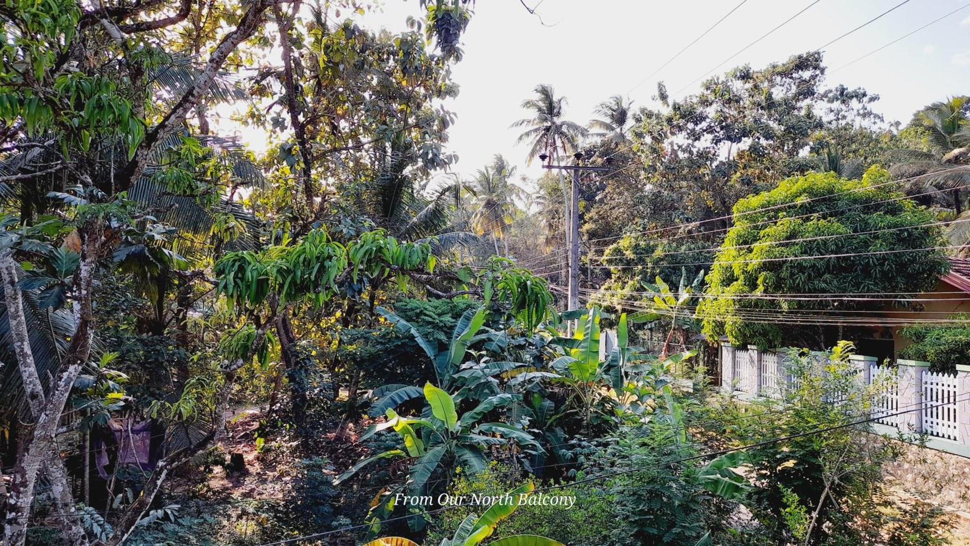 Le Meridien Bnb For Foreign Travelers Negombo Esterno foto
